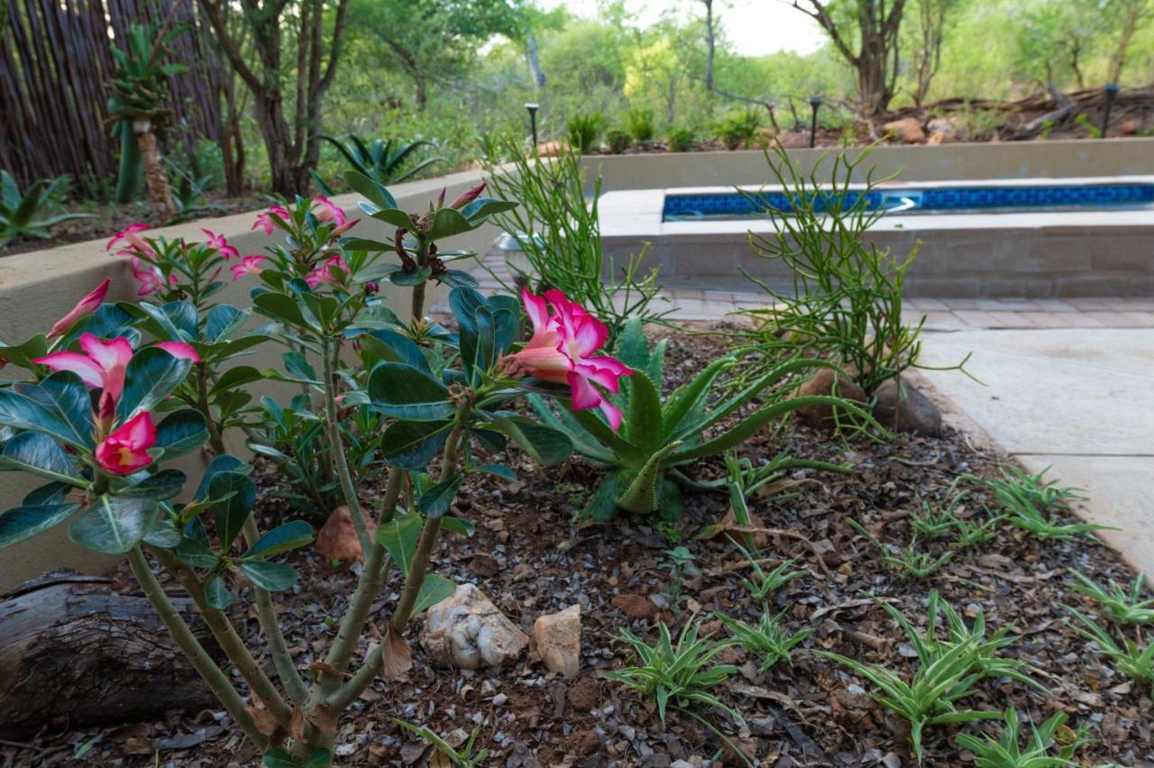 Bee-Eater Cottage Hoedspruit Exterior foto
